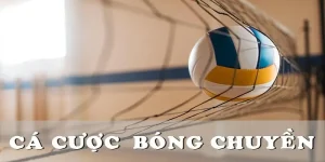 Cá Cược Bóng Chuyền - Chơi Sao Để Không Bị "Nhà Cái Ăn Gọn"?